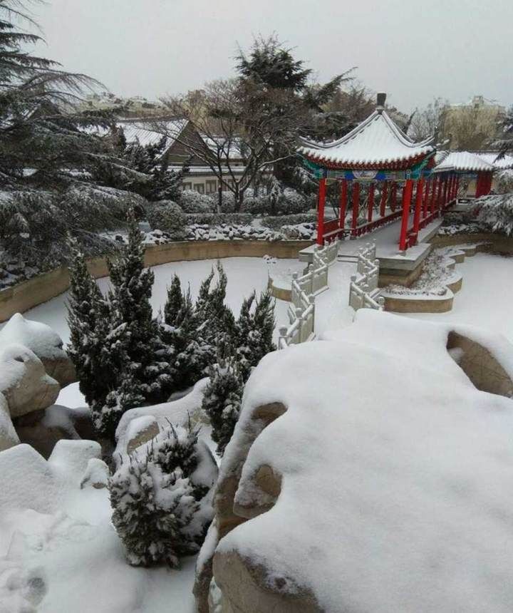 龙口|雪｜龙口文学·老宅漱芳园的飘雪