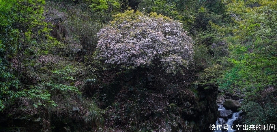 桐庐有一座山，史称“江南第一名山” ，今成国家级森林公园