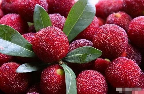 延緩衰老|會(huì)吃的人最健康，推薦吃3種食物，健腦益智，改善睡眠，延緩衰老