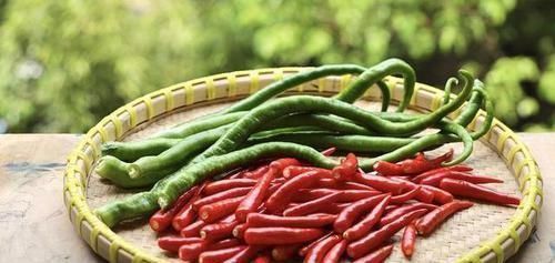 稳定血压|高血压“稳定器”已找到,若能坚持做到,血压或许不敢放肆