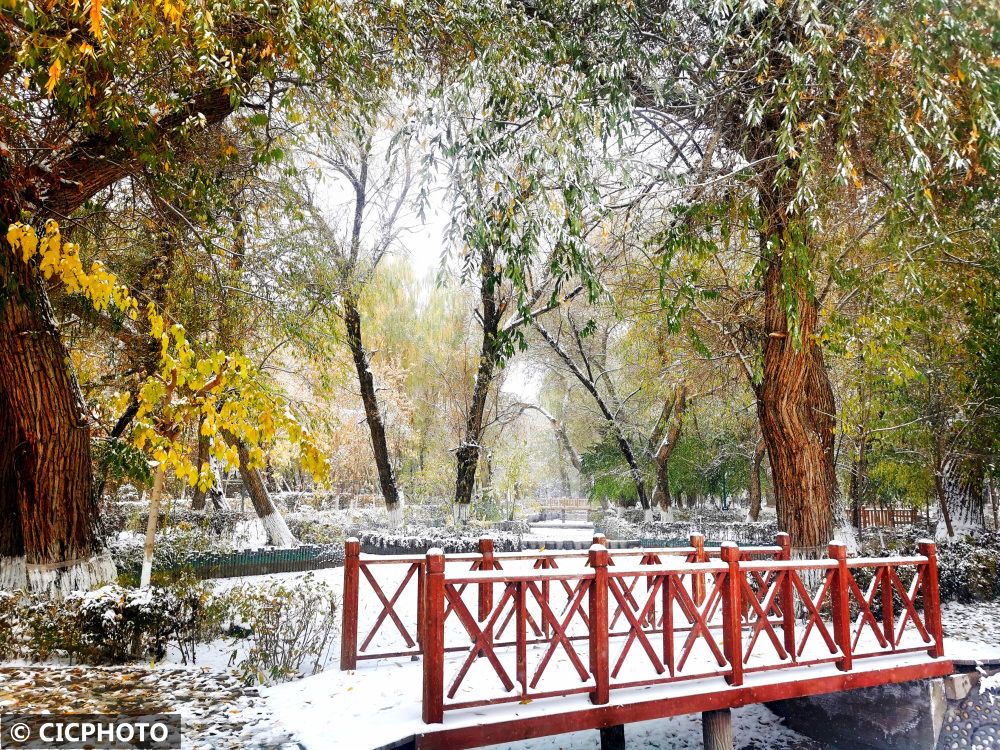 豫园|新疆哈密迎来降雪降温天气