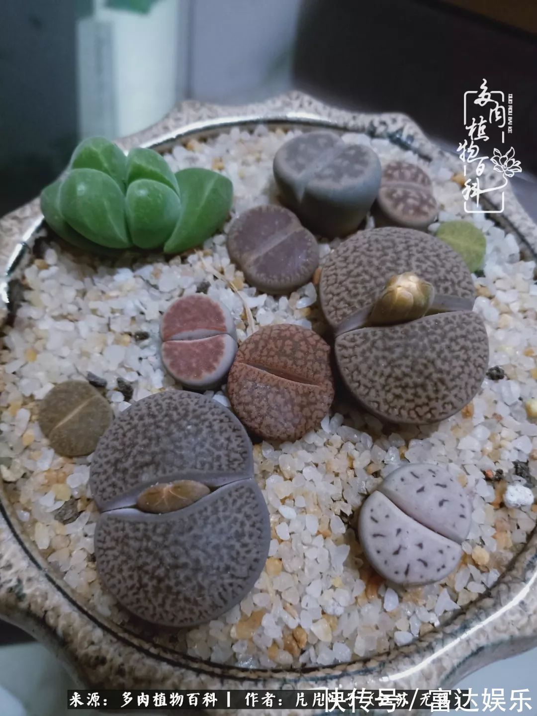 养肉路上，累并快乐着！时光不语，静待花开！