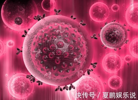 病人|肿瘤也被打败过,具有此条件的病人,肿瘤都可自行消退