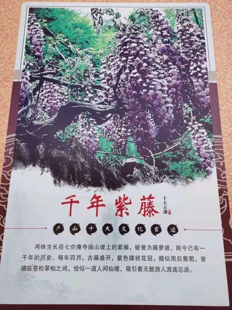 真相|龙口这座山上竟然有十大古迹，有图有真相！