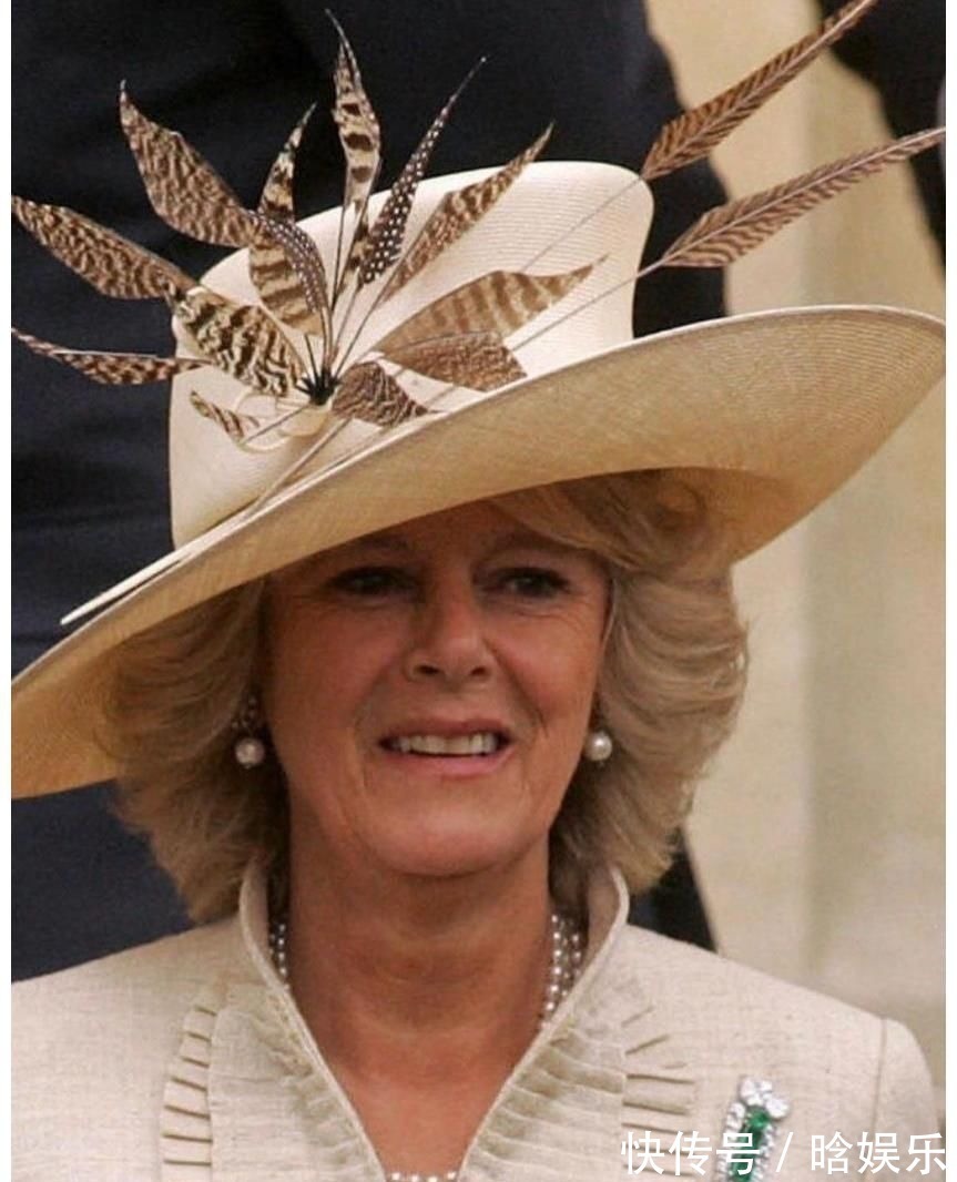 戴安娜王妃 戴对胸针的卡米拉好美,一枚简约的祖母绿胸针,映衬的她优雅大气