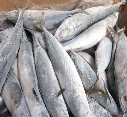 解冻冰鱼时，直接用水泡的鱼难吃，教你几招，鱼肉就像鲜鱼一样