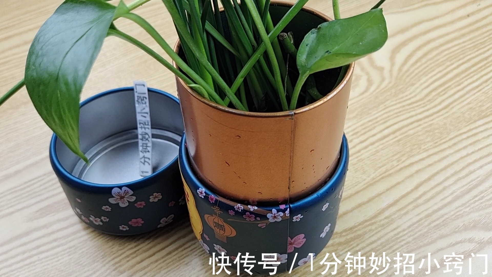 你家有废弃铁皮茶叶盒吗？这个妙用太厉害了，立马找找