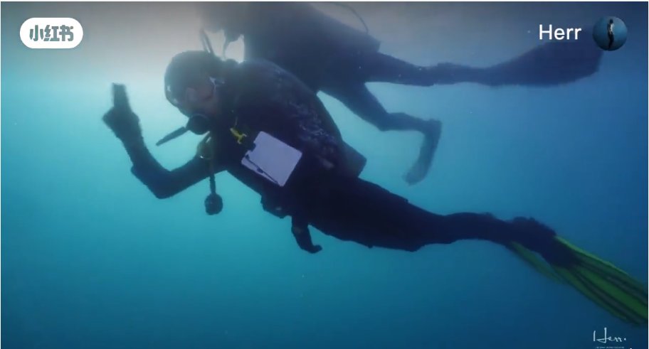 奔跑吧|210823 今日份治愈時刻 竟然還有沒見過的蔡徐坤三亞潛水視頻