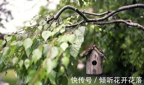观念#《菜根谭》:心态决定苦与乐,观念决定成与败