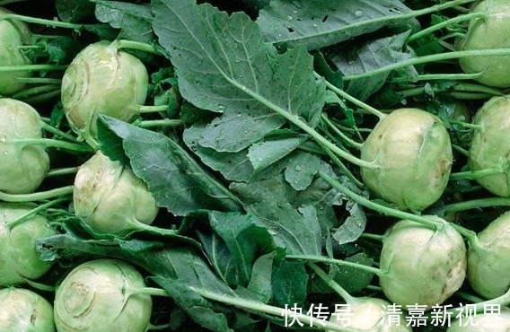 血脂|夏天多吃以下几种野菜，可降血压血脂、活血化瘀、益气强心