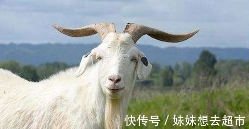 孕妇|孕妇梦到这4件事，是吉兆，预示是男宝宝且大有作为