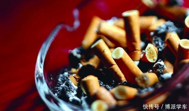 学会了这3种方法,再也不用担心植物生长没有劲了!