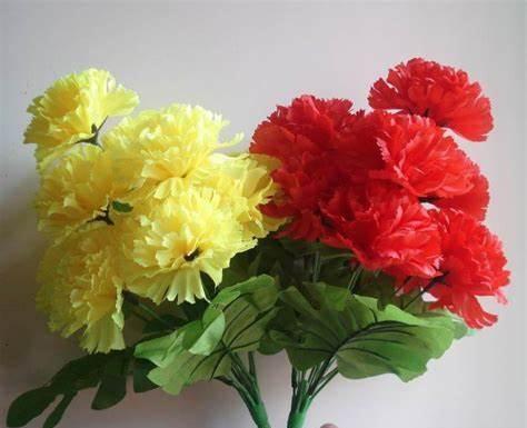 养花试试这几款,因有着漂亮的糖果花色而得名,点缀效果很好