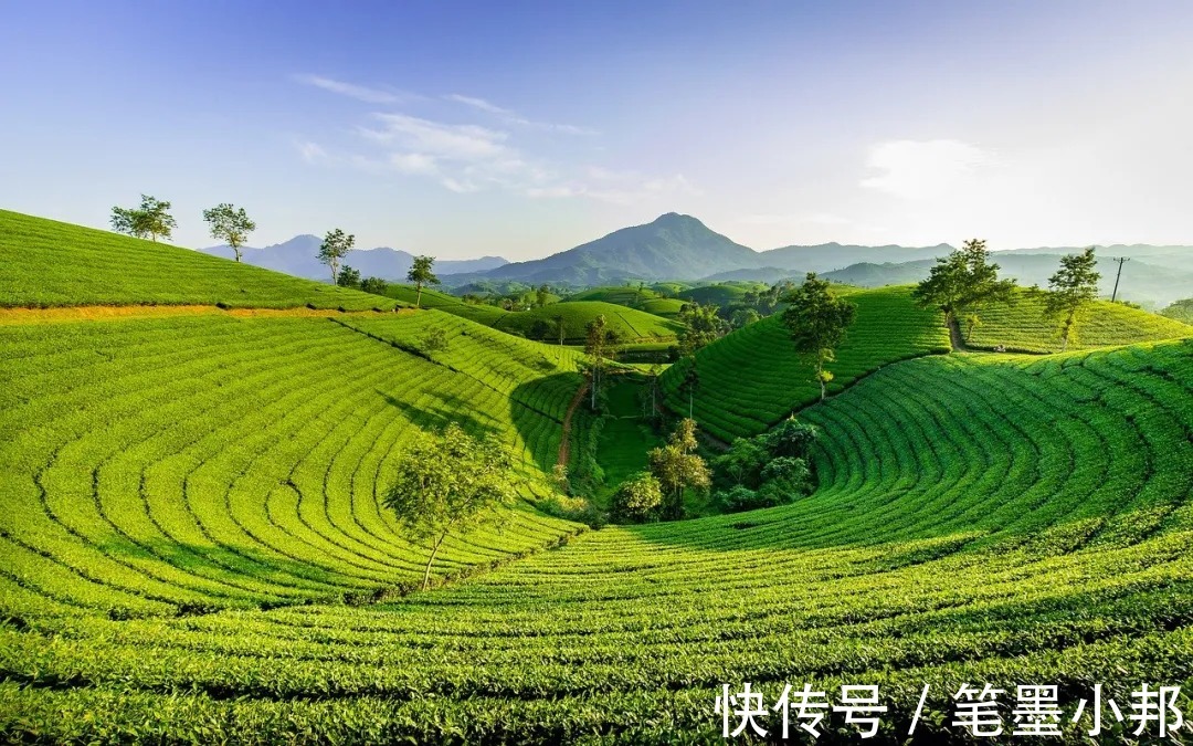 开学第一个月,家长做好这四件事很关键!|邦你学 | 学习兴趣