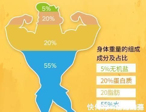糖原|健身力量提高了很多,肌肉轮廓也出来了,为什么不举重呢