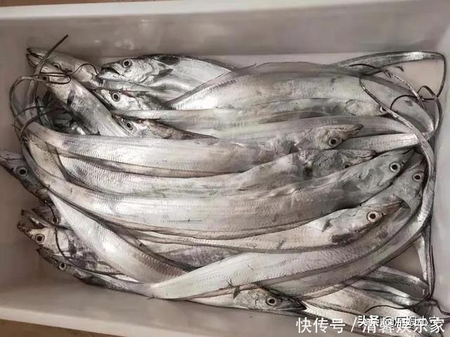 带鱼,黑眼睛和黄眼睛哪种好吃?内行人教你3招,带鱼肥厚又新鲜