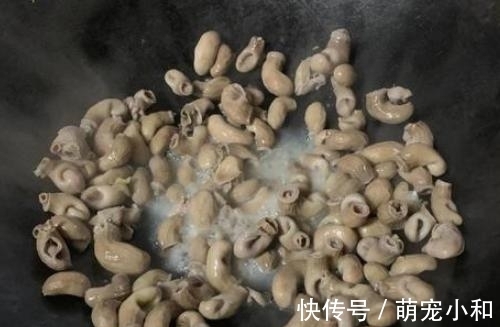 鱼肚|这道菜是“厌食”的克星，三天两头吃一回，健胃消食，胃口大开！