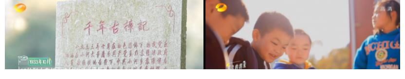 逆流而上，砥砺前行，湖南卫视奋楫扬帆，开拓新局