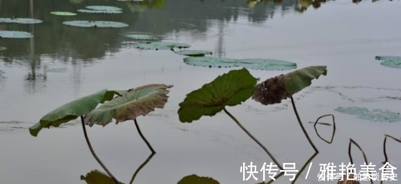 诗情画意!杨万里傍晚时分出门散步,信手拈来写下一首诗,充满了诗情画意!