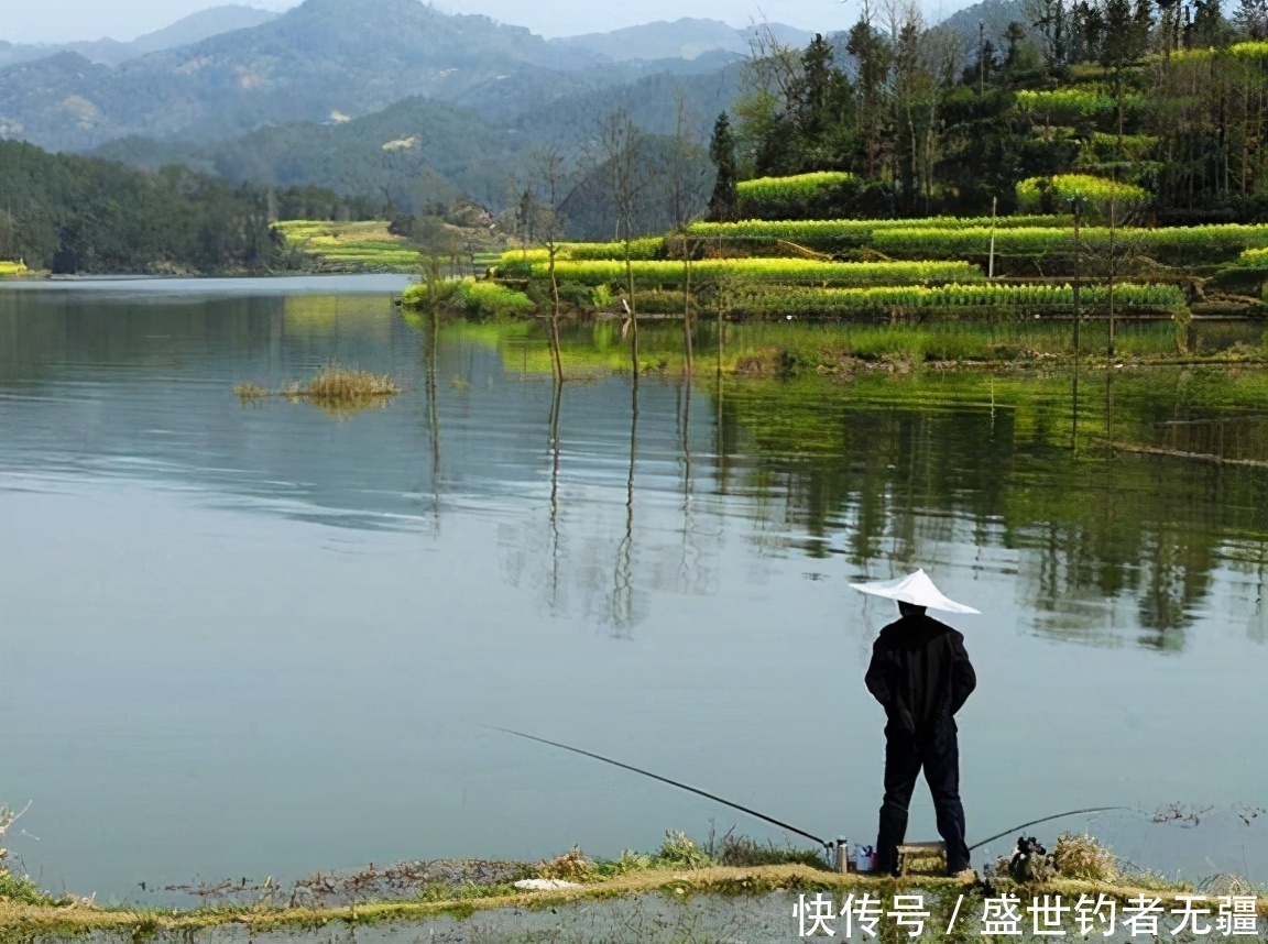 春季钓鱼有“3个关键”, 掌握后鱼儿会抢着进窝——盛世三渔