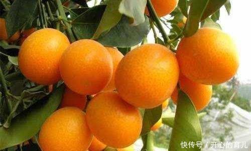 胎儿|孕妈在孕期做这3件事,可能会引起胎儿“脐带绕颈”,孕妈别大意