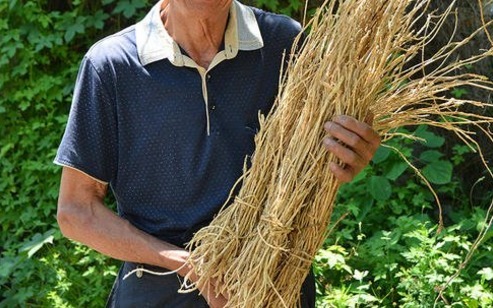 天然|天然“抗癌王”被发现,不是大蒜更不是花菜,而是它,遇到要珍惜