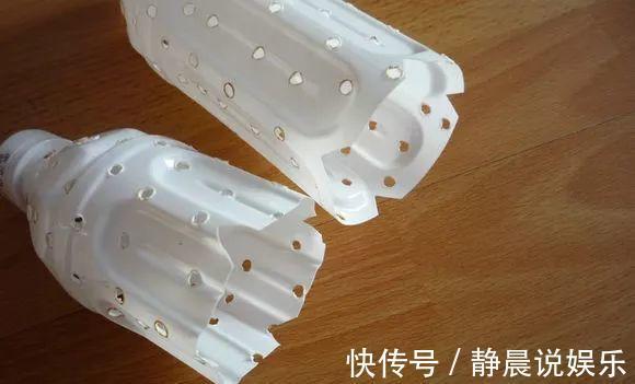 浇水|兰花就要这样养,不但不黄叶,还年年都有花赏!