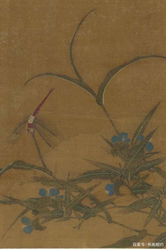 写生花卉册!赏画|王渊《写生花卉册》之鸭跖草