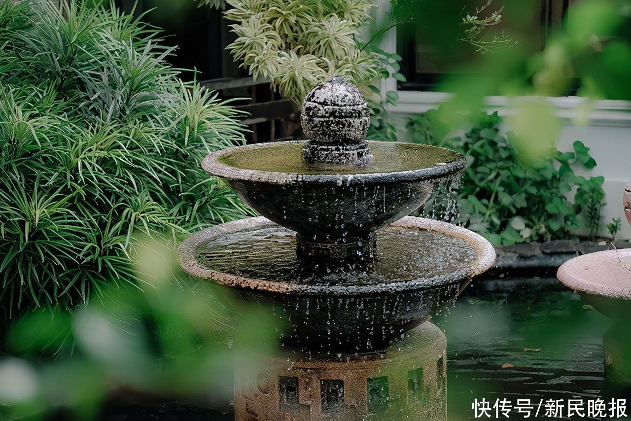 杀“熟”|边看边聊 | 买主