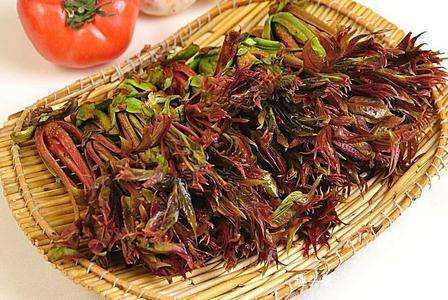 香椿|每天不妨多吃3种食物,补充营养、延缓衰老,早吃早好!