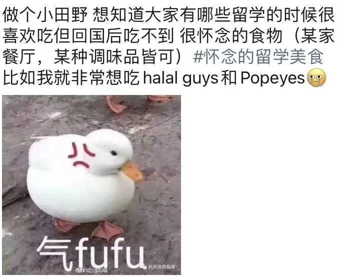 留 学 哪 有 干 饭 香