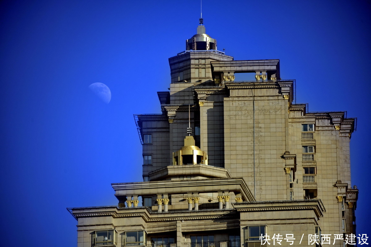 老年|新虹口花园的玉兰花开了【严建设】