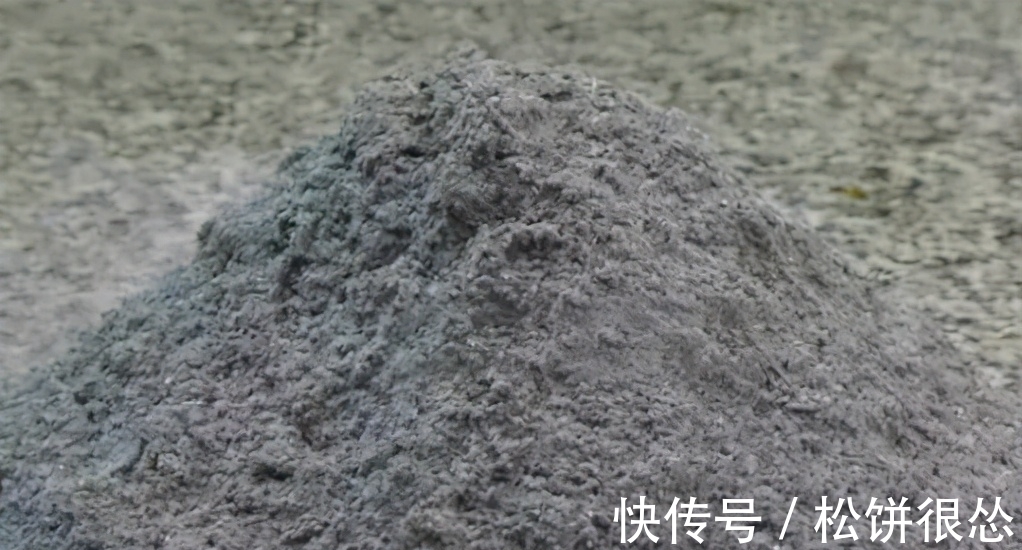 养花该如何杀虫?学会这几招,一招就能够秒杀害虫