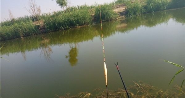 调个漂要半天按照步骤来,简单快速,肯定错不了