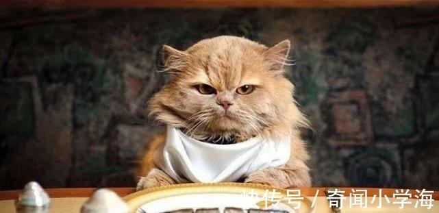 24个冷知识:生物老师看完直呼不可思议,但却真实存在的有趣知识。