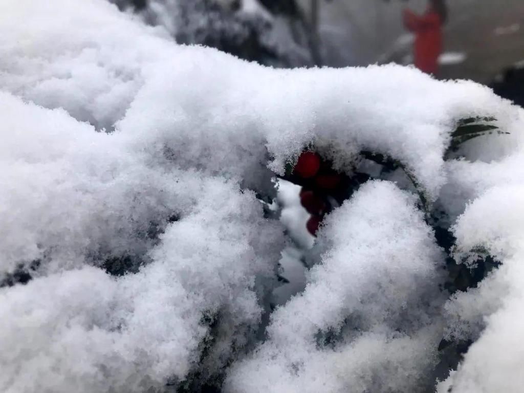 地方|汶川下雪了！这些地方，你最想去哪个？