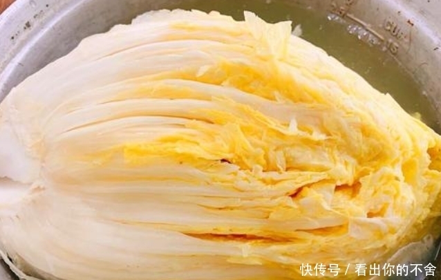  东北酸菜|腌酸菜，东北大娘教你3个技巧，保证酸香脆爽，久放不霉，超好吃