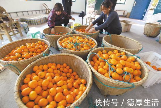 葡萄|高血压患者请记住，千万别吃这些食物，吃多了血压蹭蹭往上涨