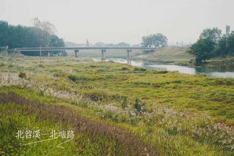 在这8条公路上邂逅初秋的浪漫……|“国庆去哪儿玩” | 竹海