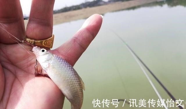 这东西|别看这东西便宜,却是鲫鱼最爱吃的饵料,它就在你身边