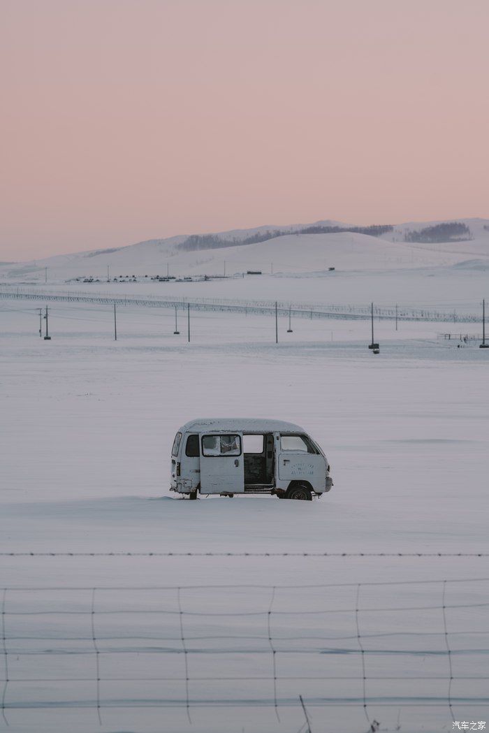 魅力雪境-与福克斯一起探索呼伦贝尔的冬天