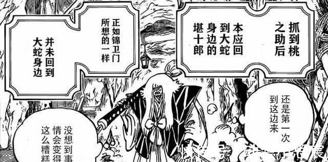 海贼王|《海贼王》982话图透,桃之助惨状公开,被堪十郎打得面目全非!