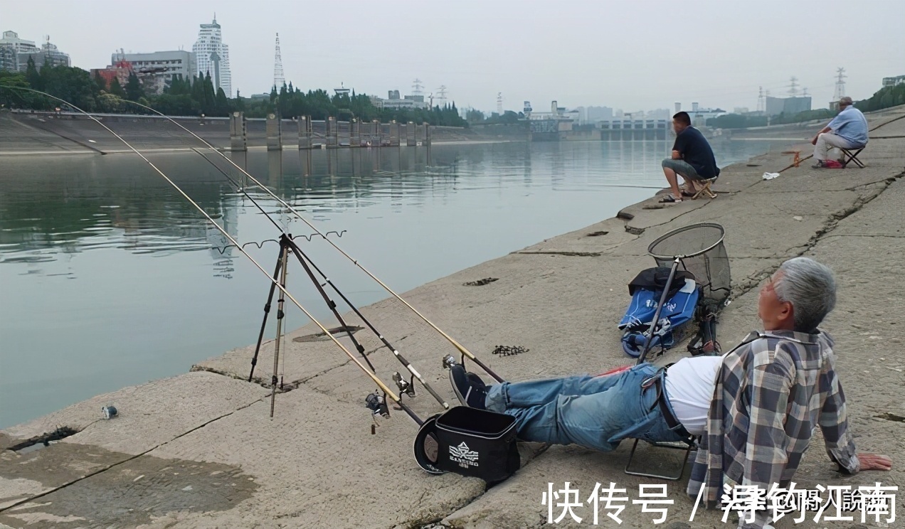 钓鱼|钓鱼时容易被忽视的问题:“狂抽正嗨时突然停口”,是何缘由?