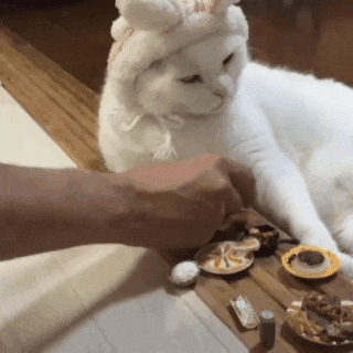 |搞笑GIF:第一次结婚没经验,岳父在上,小婿先干为敬