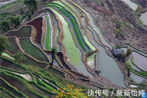 历险记|元阳梯田老虎嘴塌方事故后，想走崎岖小路才能到，一次难忘历险记