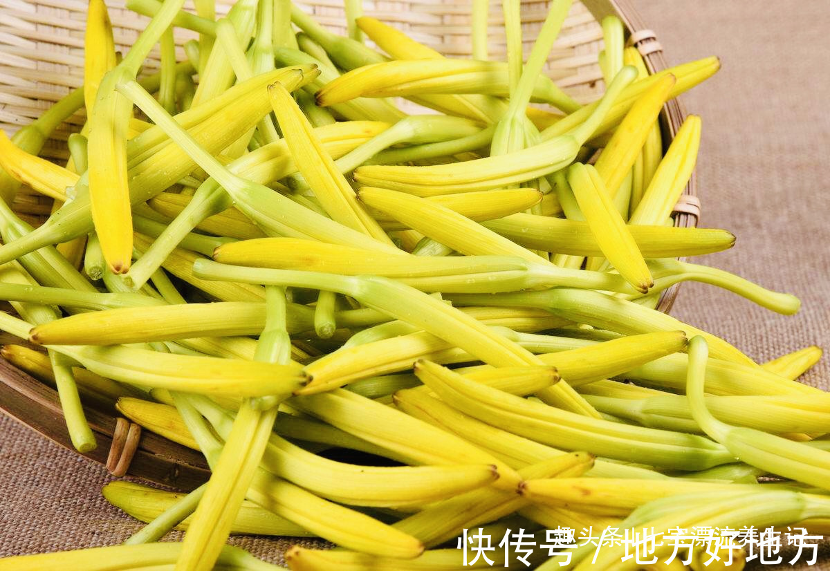 黄花菜|夜里失眠，多食此菜，治疗失眠，预防癌症，还能促进睡眠，防失眠