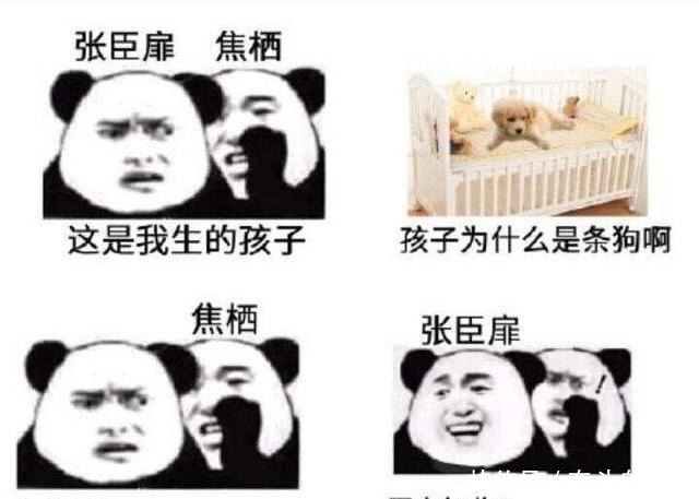 纯爱小说推荐沙雕文《迪奥先生》,年轻人,你对力量一无所知!