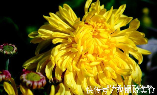 美容养颜|人到中年要长寿,可以多吃三种食物,美容养颜,增强体质!