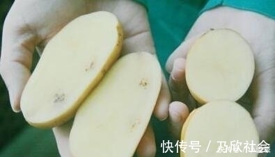 白心土豆和黄心土豆,营养上有区别吗?告诉你日常炒菜,选哪一种