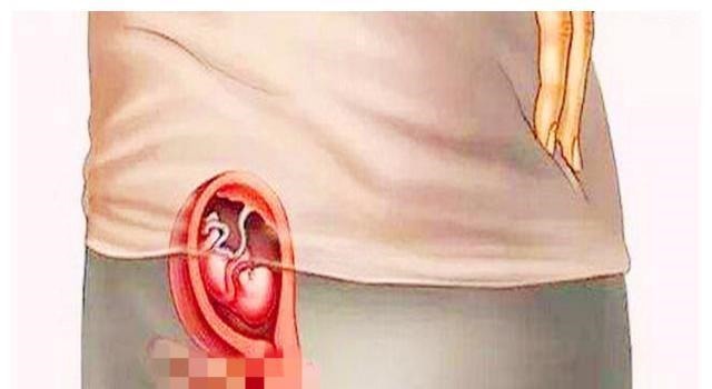 暴涨期|胎儿在宫内是如何发育成型的?十张图读懂胎儿发育过程,都该看看